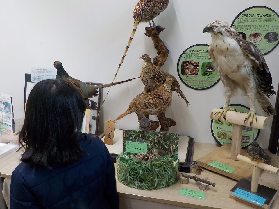 野生共生センター